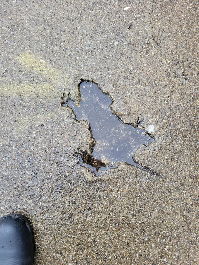 حفره موش در شیکاگو در سال ۲۰۲۴ هیجان زیادی در اینترنت ایجاد کرد. حالا، دانشمندان مقصر را پیدا کرده‌اند.